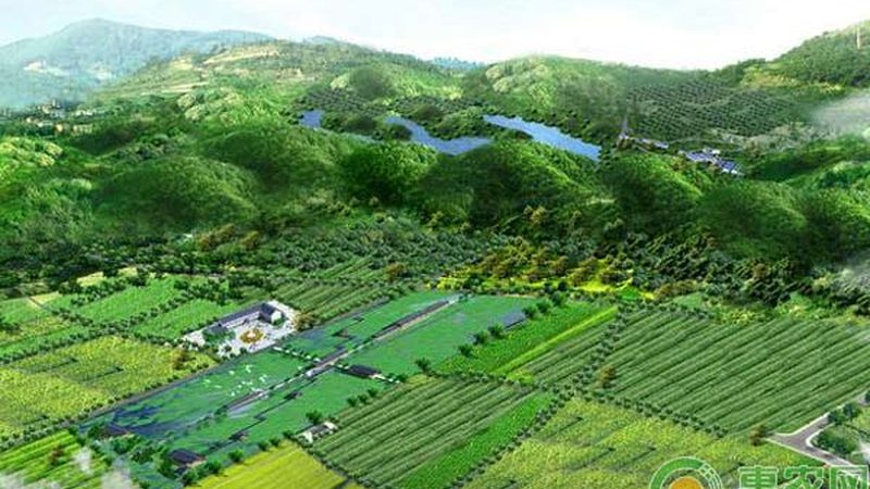 小型采摘机器人：揭秘其报价与规格背后的秘密