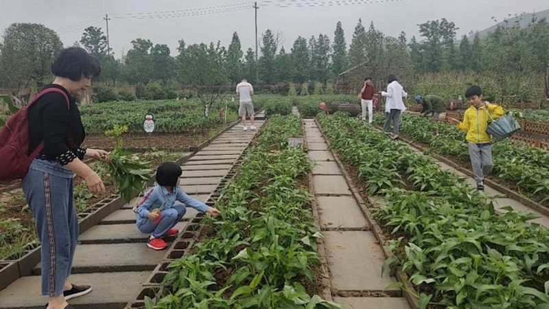 农业产业园环保手续办理步骤全解析