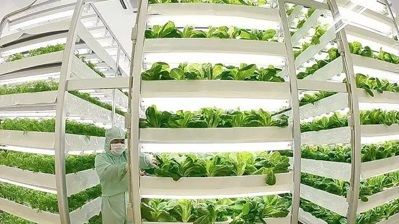 智慧农业园区规划设计：构建可持续的现代农业生态圈