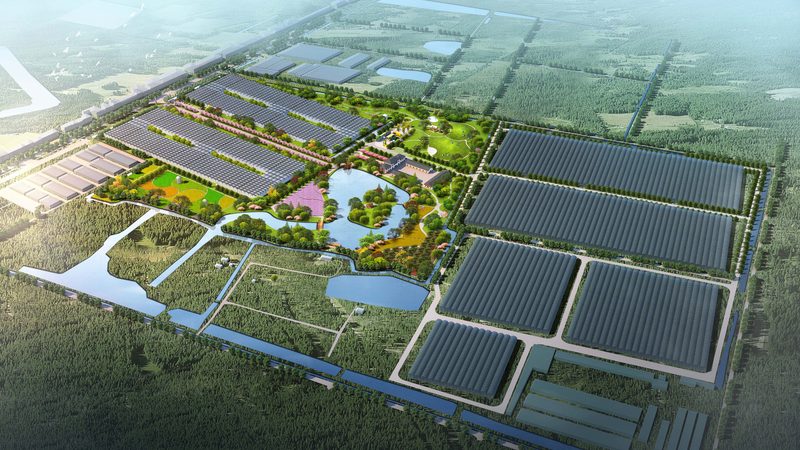 新疆尿素运费：影响价格的关键因素解析