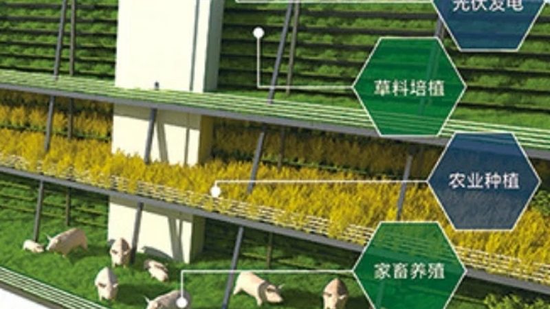 以下列举几种常见的生鲜分拣机型号，供您参考：