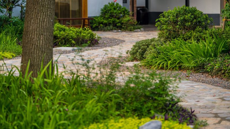 生鲜配送保鲜秘籍：如何锁住新鲜，让美味直达餐桌