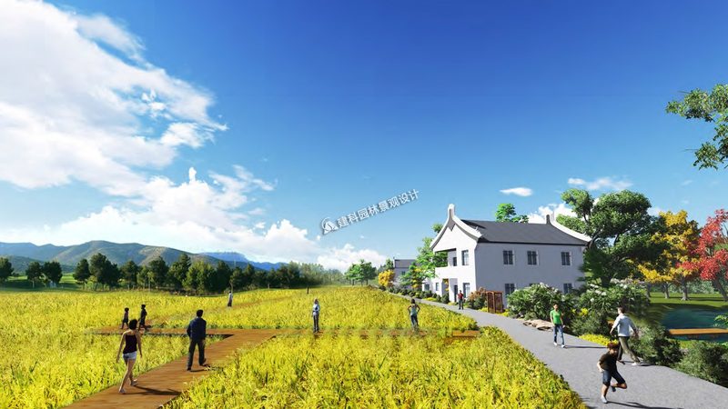 大棚种植技术选型：揭秘高效与合规的平衡之道
