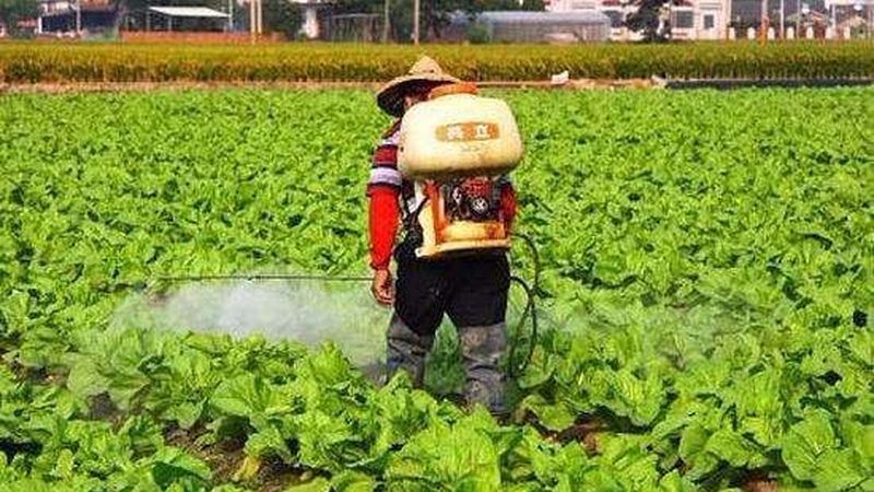 生鲜配送加盟：区域保护政策下的行业发展