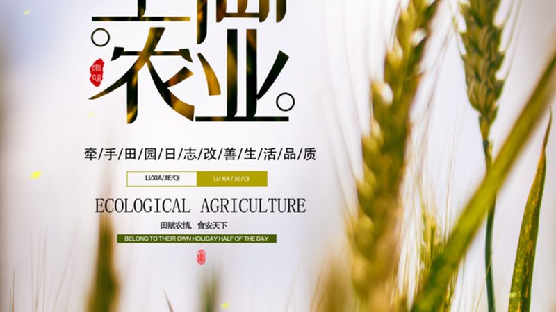 正规农资电商平台：如何甄别与选择